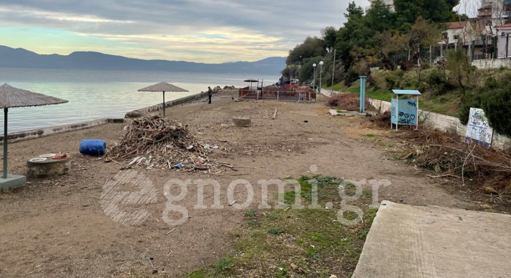 ΧΑΛΚΙΔΑ: Έβαλε φωτιά στην περιοχή της Σουβάλας και εισέπραξε πρόστιμο 1400 ευρώ