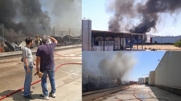 ΕΡΓΑΤΙΚΟ ΚΕΝΤΡΟ ΕΥΒΟΙΑΣ: Κάθε χρόνο καίγεται και ένα εργοστάσιο στη Ριτσώνα