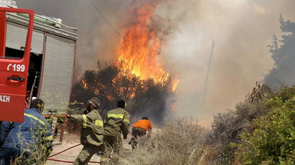 ΤΡΙΑΔΑ-ΠΙΣΣΩΝΑΣ: Μεγάλη φωτιά απειλεί χοιροτροφικές μονάδες