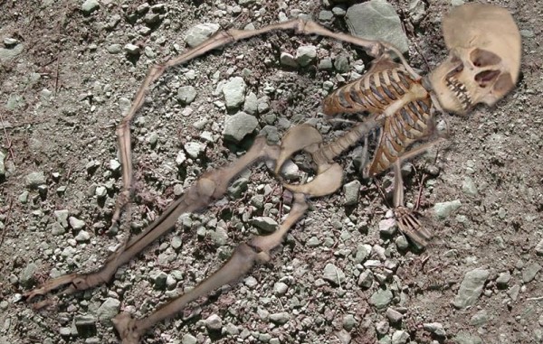 Μακάβριο: Βρήκαν κρανίο και οστά στην Αιδηψό