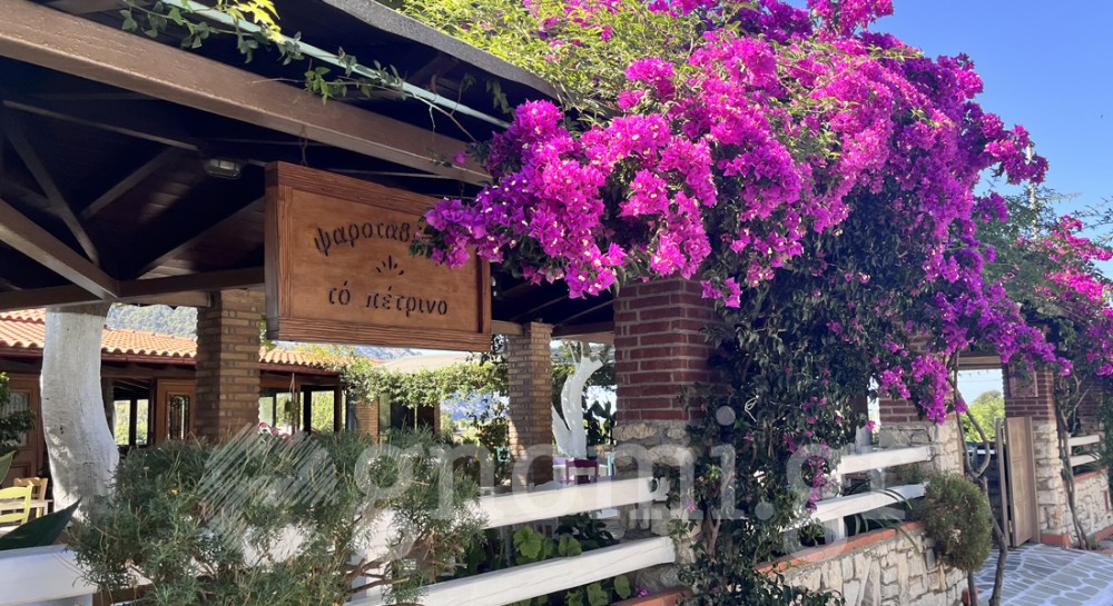 ΠΕΤΡΙΝΟ: Αυτή η αυλή στο Πήλι είναι το κάτι άλλο!