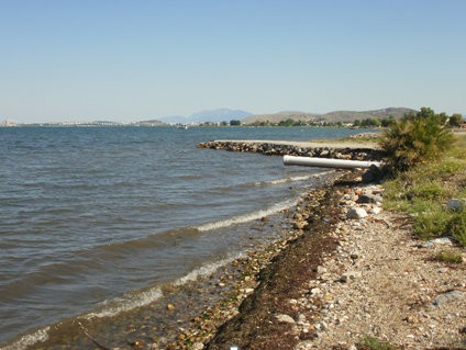 ΤΟ ΠΑΚΟΕ βγάζει ακατάλληλες για κολύμβηση 21 παραλίες της Εύβοιας