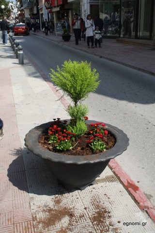 Βεβήλωσαν τις γλάστρες της Νανάς