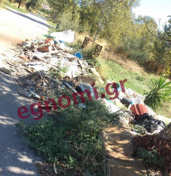 ΛΙΑΝΗ ΑΜΜΟΣ ΧΑΛΚΙΔΑ: Έβγαλαν ρίζες τα σκουπίδια