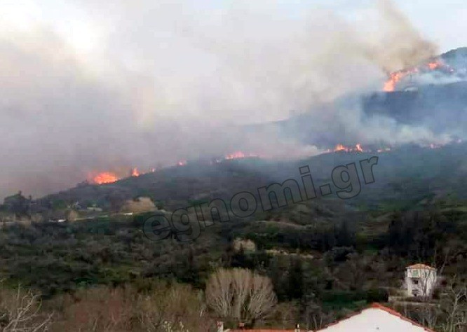 Έκαψε 150 στρέμματα με πουρνάρια η φωτιά στο Στόμιο Οξυλίθου Κύμης
