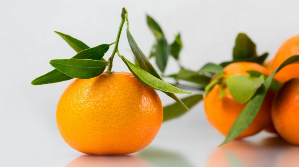 ΠΡΟΣΟΧΗ: Μόνο με φυτοϋγειονομικό διαβατήριο η διακίνηση καρπών εσπεριδοειδών με φύλλα και ποδίσκους