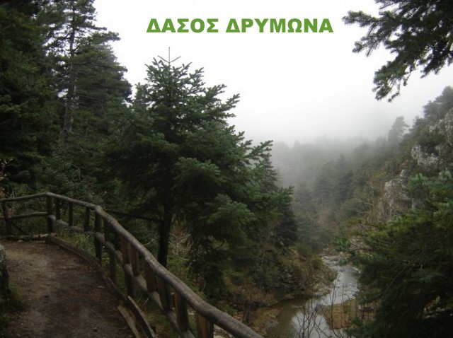 Απαγορεύεται η κυκλοφορία οχημάτων στα δάση της Εύβοιας την Παρασκευή 23 Αυγούστου