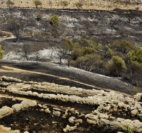 ΜΥΚΗΝΕΣ-ΦΩΤΙΑ: Οι φλόγες πέρασαν μέσα από τον τάφο του Βασιλιά Αγαμέμνονα