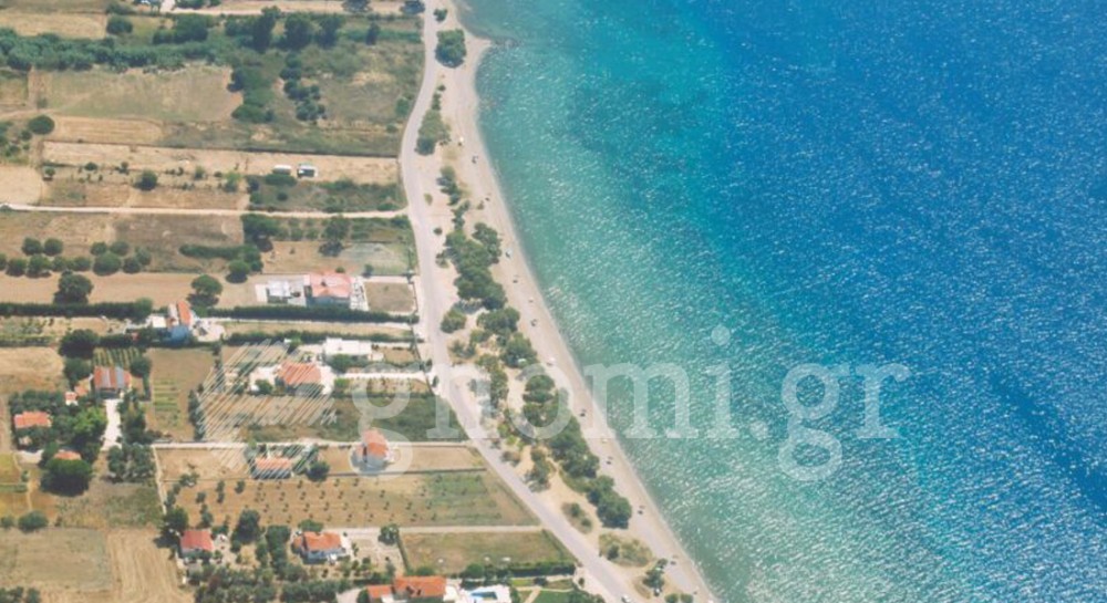 Έρχεται ο αγώνας ΤΑΜΥΝΑΙ Seaside Run