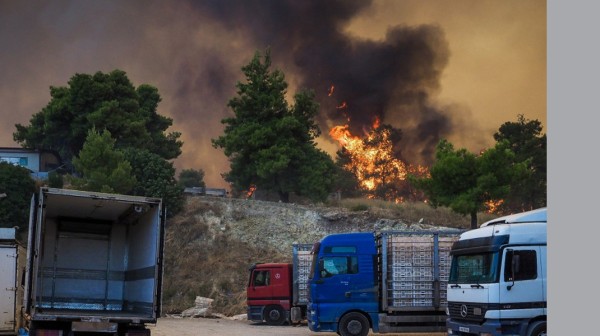 ΦΩΤΙΑ-ΕΥΒΟΙΑ: Μεγάλη αναζωπύρωση στον Πισσώνα