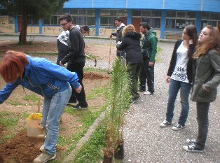 Ομόρφυναν την αυλή του σχολείου τους