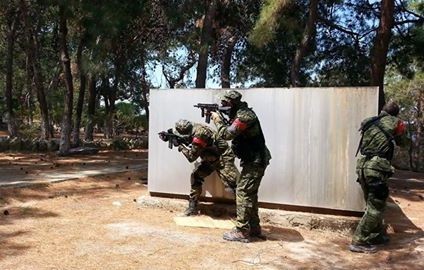 Επιχείρηση Δούρειος Ίππος στο πεζονήσι της Ερέτριας