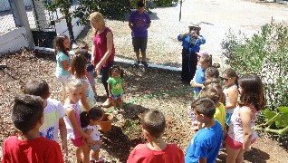 Στόλισαν με ζωγραφιές το παραμυθόδενδρο στη Λούτσα