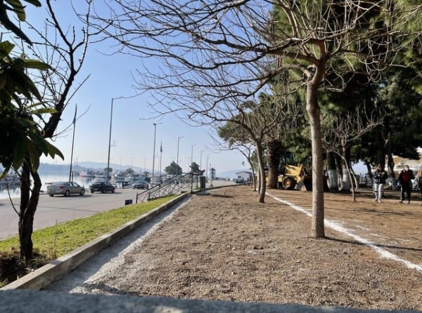 ΑΡΤΑΚΗ: Ξεκίνησε το έργο διαμόρφωσης του δασυλλίου της κεντρικής παραλίας