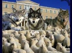 Επίθεση λύκων στα χωριά της Φωκίδας