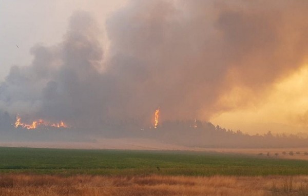 ΦΩΤΙΑ ΒΟΡΕΙΑ ΕΥΒΟΙΑ: Εκκενώθηκαν Κεχριές, Αμέλαντες, Κεράμεια - Σε μεγάλη έκταση απλώνεται το πύρινο μέτωπο (ΣΥΝΕΧΗΣ ΕΝΗΜΕΡΩΣΗ)