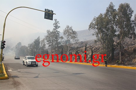 Παραμένει σε ετοιμότητα η Πυροσβεστική στην περιοχή του Αγίου Στεφάνου Χαλκίδας