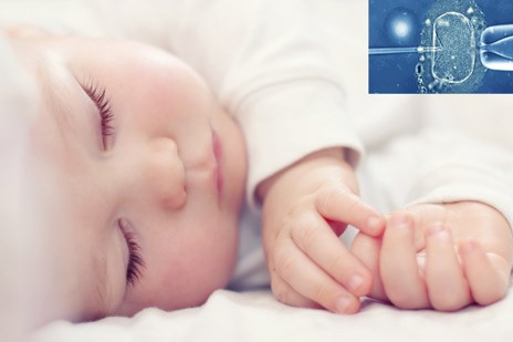 Eξωσωματική γονιμοποίηση