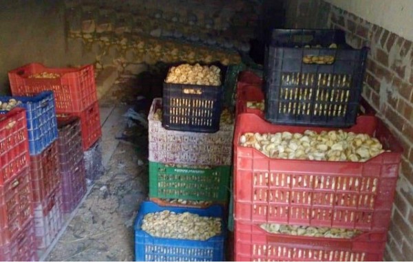 ΚΕΔΙΚΟΓΟΥ: Εγκρίθηκε δαπάνη για την οικονομική ενίσχυση των συκοπαραγωγών της Εύβοιας λόγω covid-19