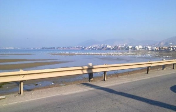 ALERT: Απαγορεύεται η κολύμβηση στη Λιανή Αμμο Χαλκίδας