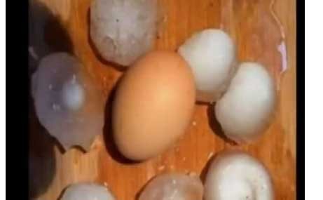 Χαλάζι σε μέγεθος αυγού στη Φλώρινα