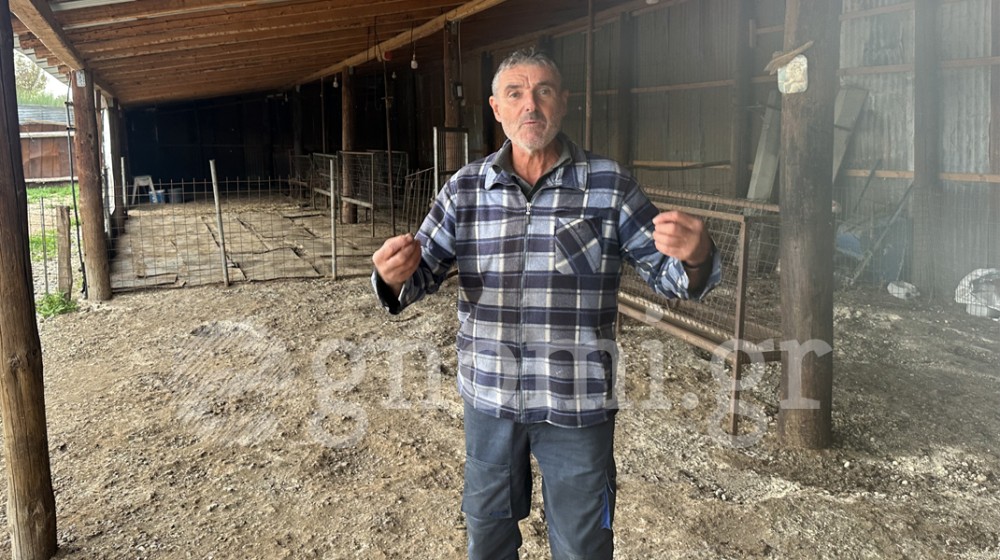 ΚΗΡΙΝΘΟΣ ΜΑΝΤΟΥΔΙΟΥ: Η ευλογιά εξόντωσε το κοπάδι του (VIDEO)