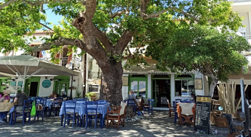 ΛΙΜΝΗ: Στον Πλάτανο θα νιώσεις σαν να είσαι σπίτι σου!