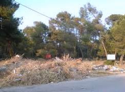 Να καθαρίσουν τα χωράφια δίπλα στα δάση