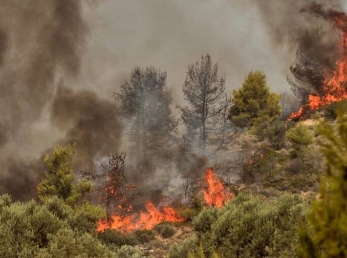 Μεγάλη φωτιά σε δασική έκταση δίπλα στην Επίδαυρο
