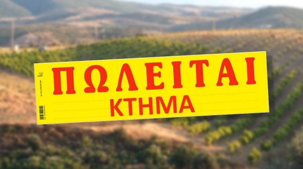 ΝΕΟΣ ΠΥΡΓΟΣ-ΙΣΤΙΑΙΑ: Πωλείται αγροτεμάχιο