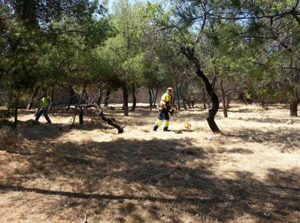 Καθάρισαν το αλσύλλιο του Καράμπαμπα από τα ξερόχορτα