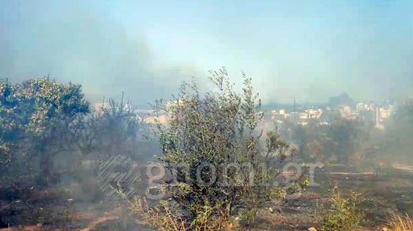 ΧΑΛΚΙΔΑ: Φωτιά στη Χαραυγή (VIDEO)