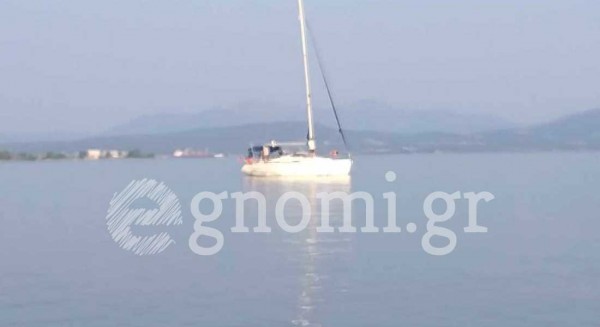 ΠΟΛΙΤΙΚΑ: Κινητοποίηση για το δελφίνι