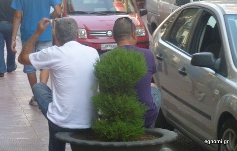 Όπα, να και καθιστικό οι γλάστρες!