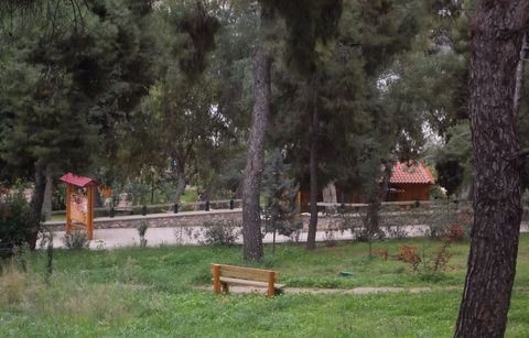 Στο έλεος του θεού το αλσύλλιο της Κανήθου