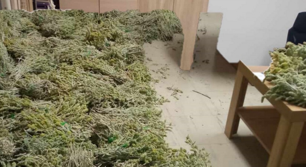 ΔΗΜΟΣ ΕΡΕΤΡΙΑΣ: Κατασχέθηκαν από το Δασαρχείο 100 κιλά τσάι Σιδερίτης (φωτό)