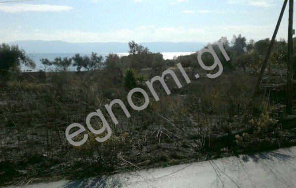 Φωτιά κοντά στο ξενοδοχείο Olympic Star