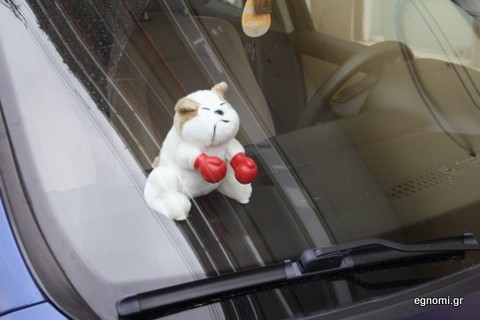 Γάτος μποξέρ