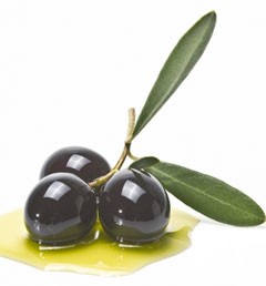 Αλατσοελιές ή θρούμπες