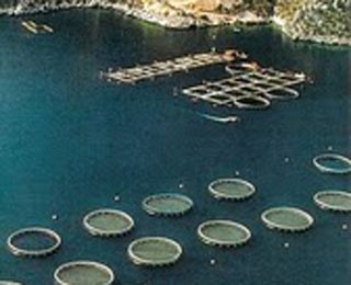 Συγκέντρωση διαμαρτυρίας στην Kάρυστο