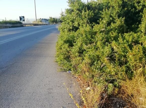 ΧΑΛΚΙΔΑ: Κίνδυνος ατυχήματος από την βλάστηση στο δρόμο