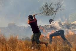 Πυρκαγιά αναστάτωσε το Βασιλικό