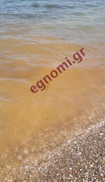 ΝΟΤΙΟΣ ΕΥΒΟΪΚΟΣ: Τόνοι λάσπης στην παραλία από τον ΧΥΤΑ Γραμματικού